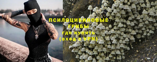 гидропоника Алексин