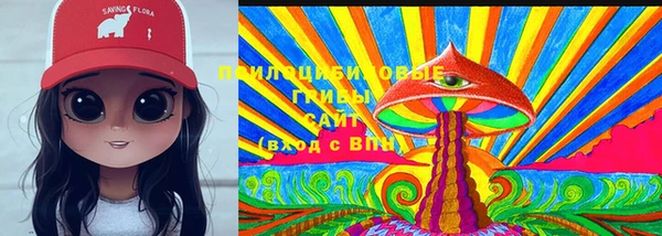стаф Аркадак